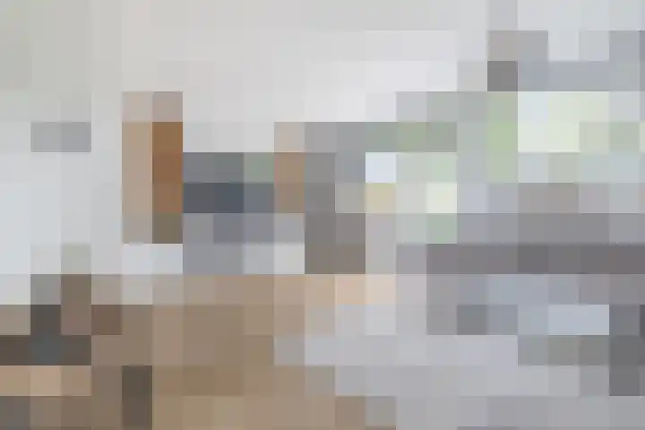 Blauwgras 87 Rotterdam thumbnail 9