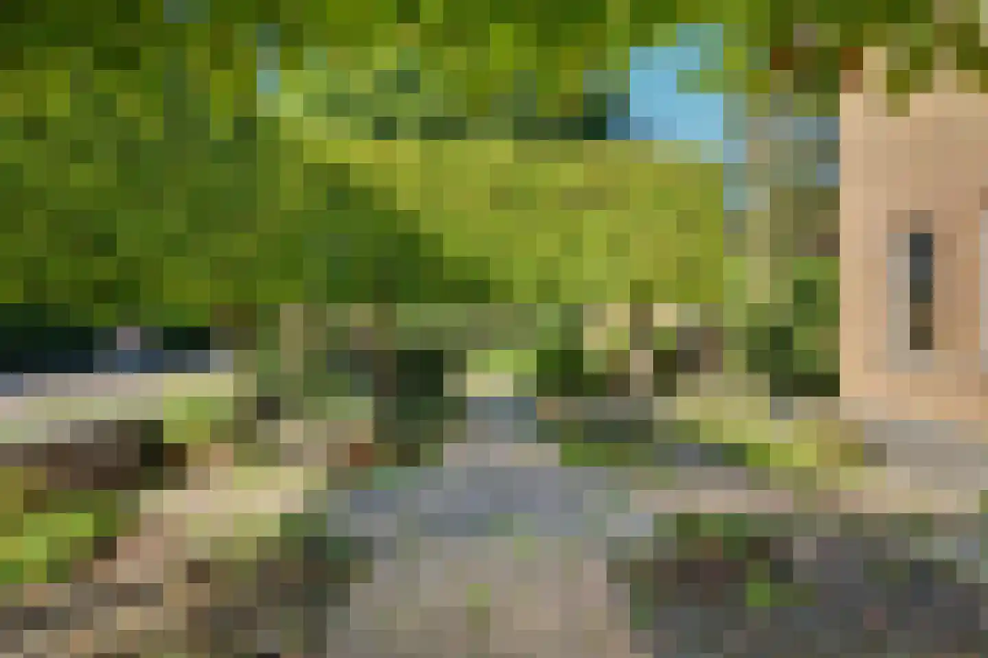 Blauwhoefseweg 8 Kruiningen thumbnail 15