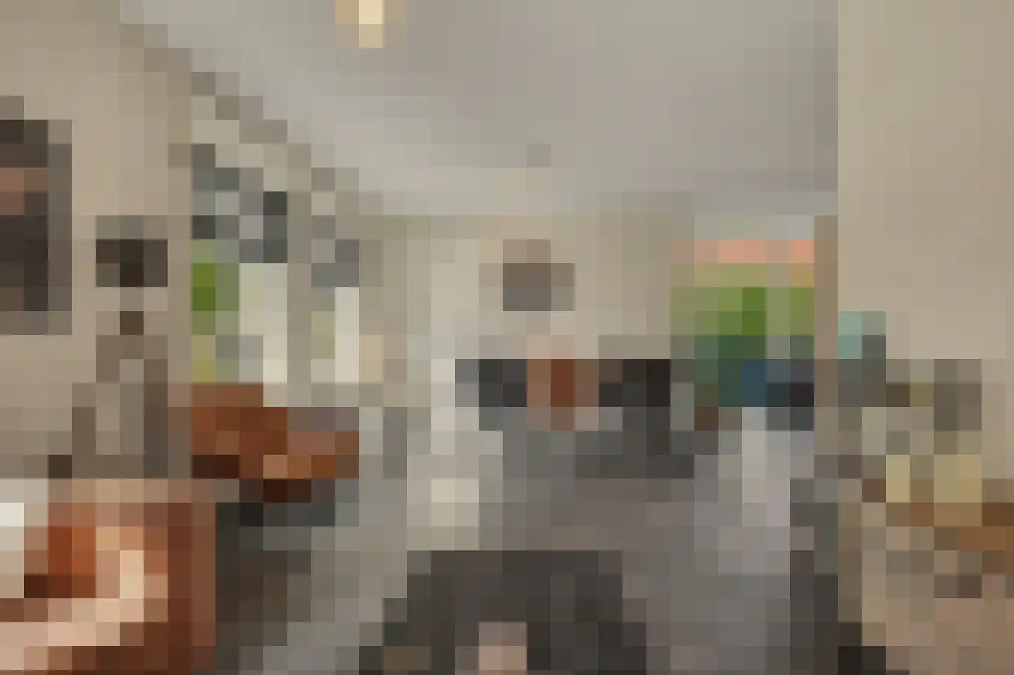 Blauwhoefseweg 8 Kruiningen thumbnail 20