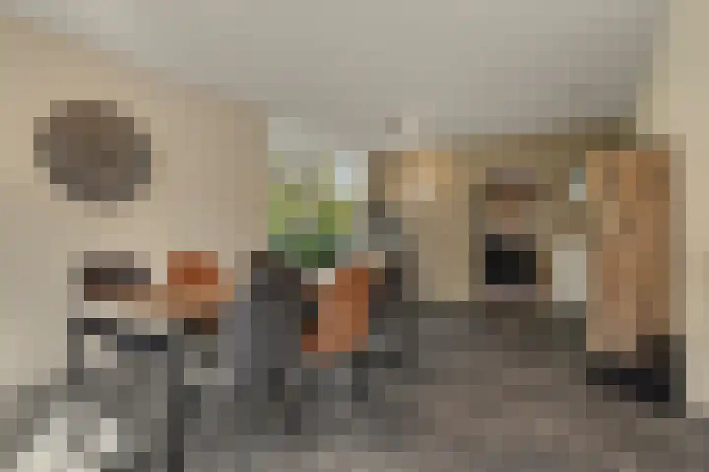 Blauwhoefseweg 8 Kruiningen thumbnail 23