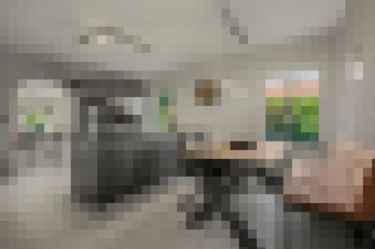 Blauwhoefseweg 8 Kruiningen thumbnail 31