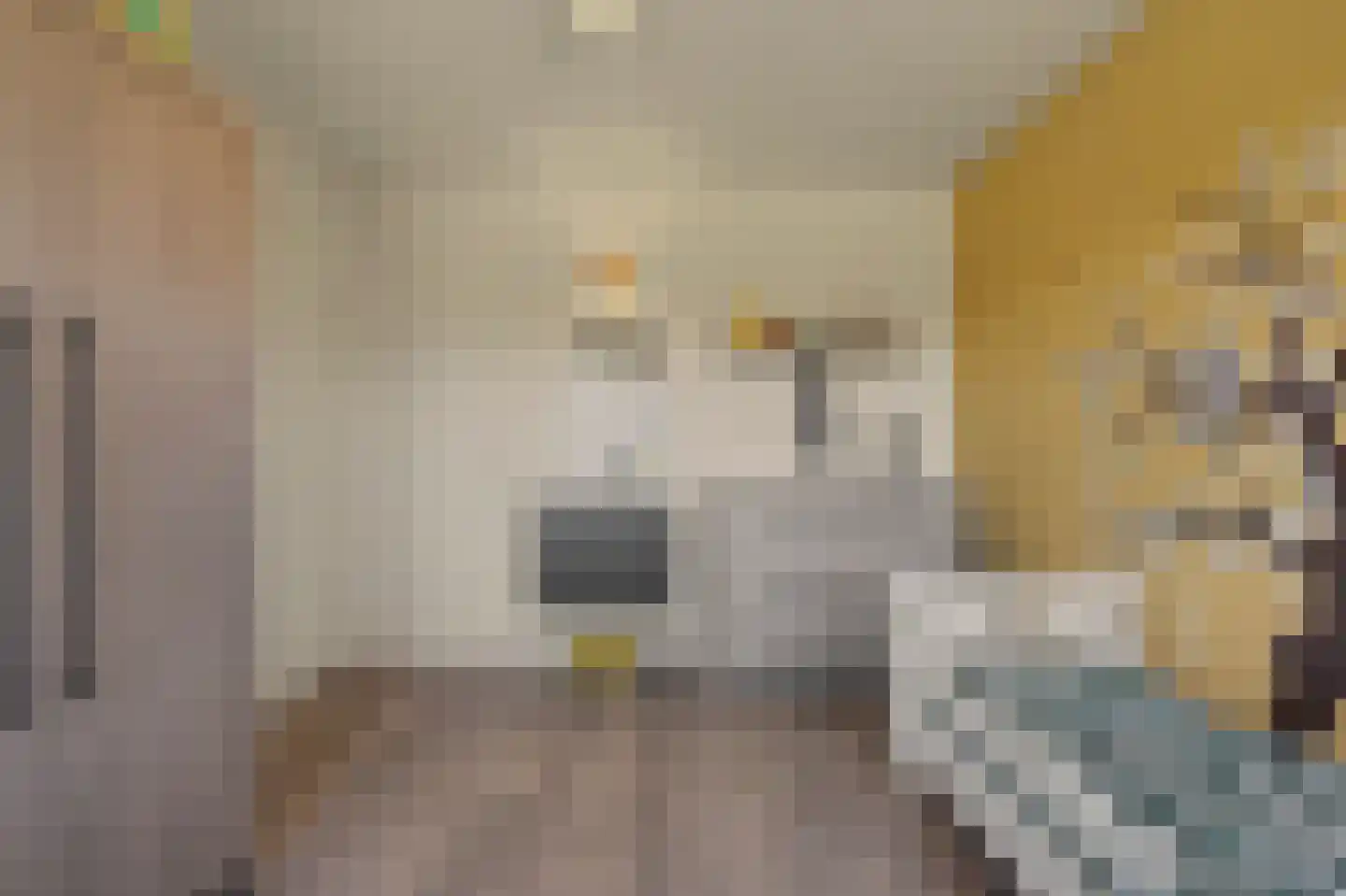 Blauwhoefseweg 8 Kruiningen thumbnail 42