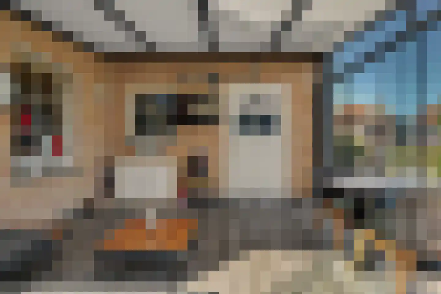 Blauwhoefseweg 8 Kruiningen thumbnail 50