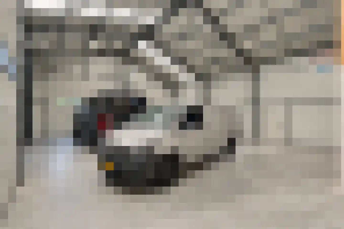 Blauwhoefseweg 8 Kruiningen thumbnail 60