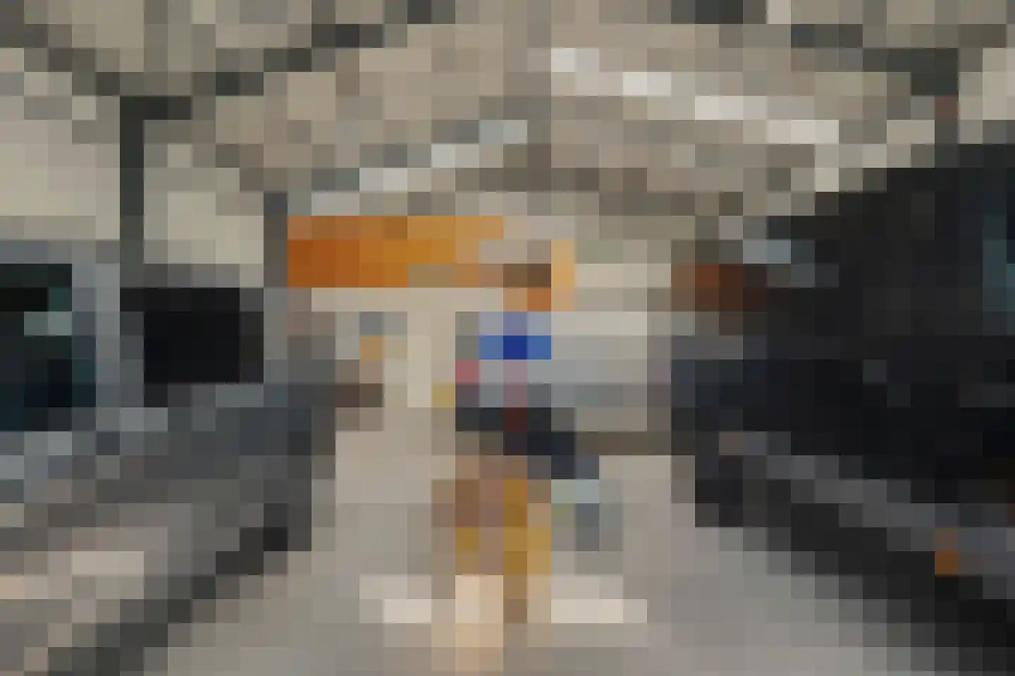 Blauwhoefseweg 8 Kruiningen thumbnail 62