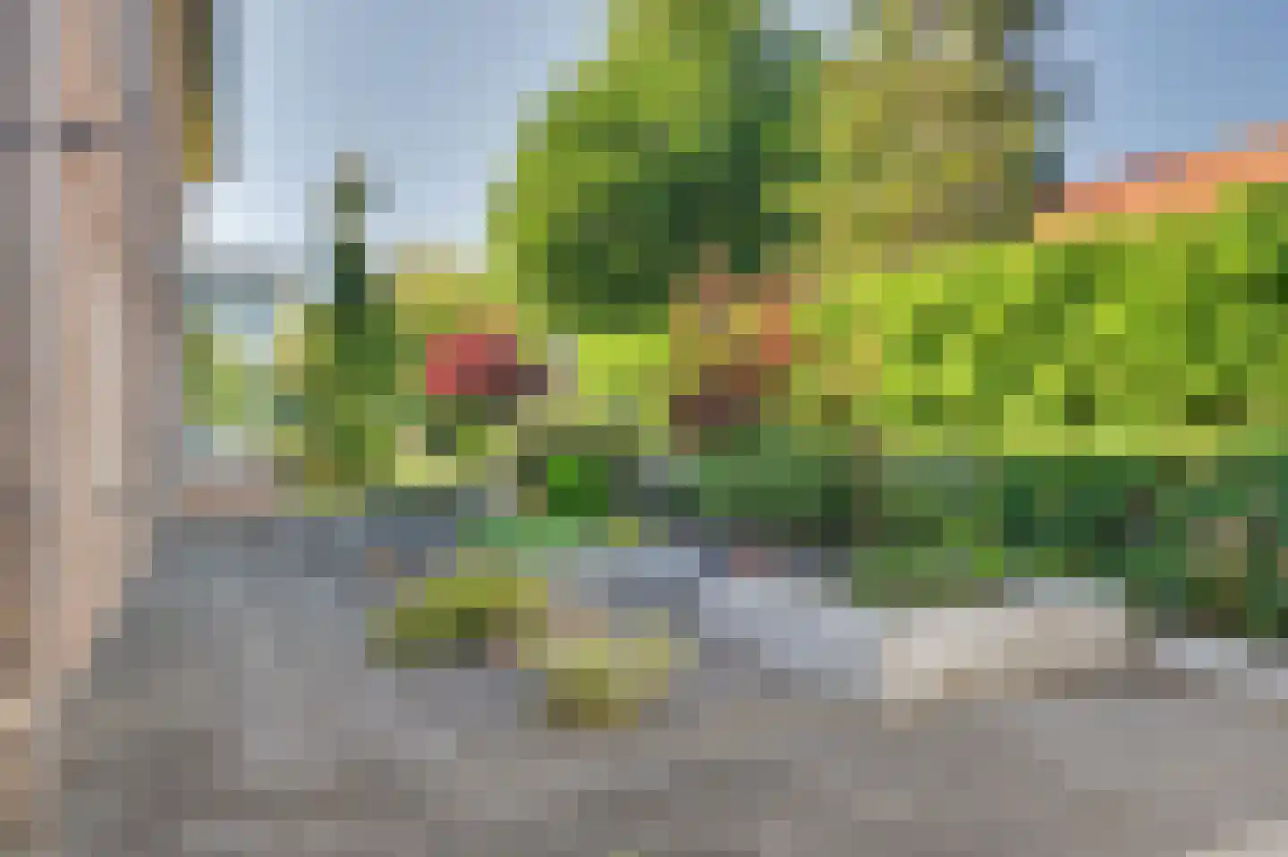 Blauwhoefseweg 8 Kruiningen thumbnail 63
