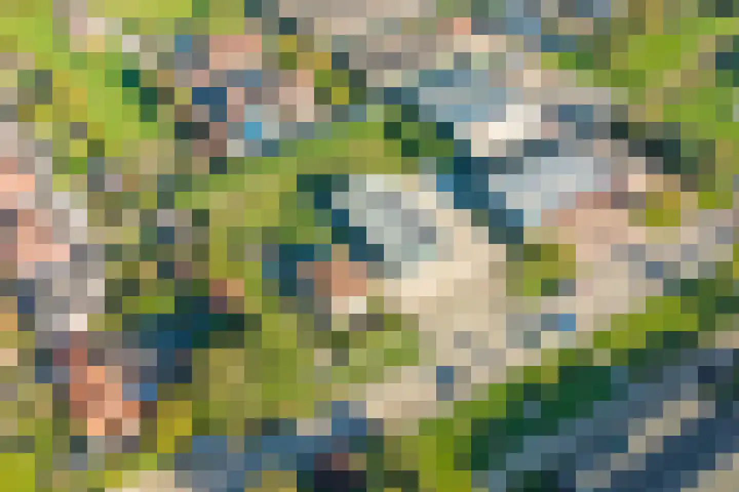 Blauwhoefseweg 8 Kruiningen thumbnail 88