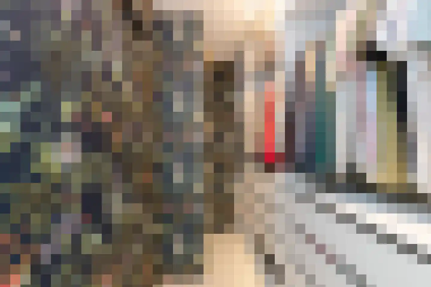Blauwhuishof 14 Schiedam thumbnail 32