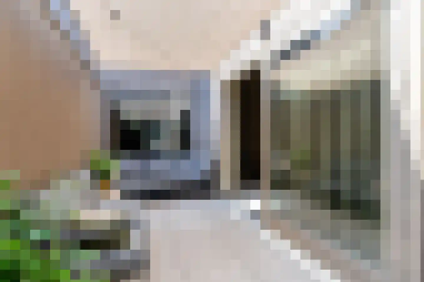 Blauwhuishof 14 Schiedam thumbnail 5