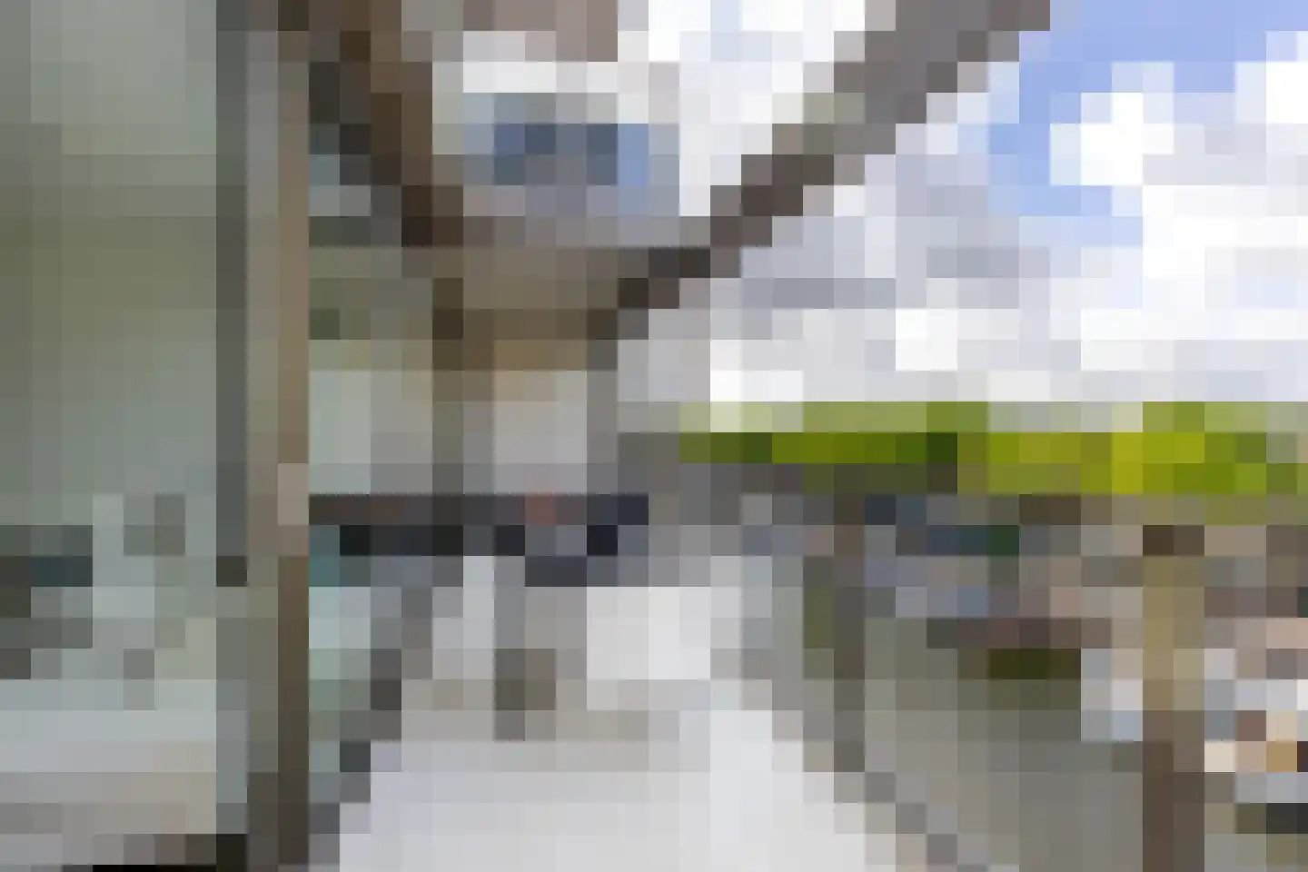 Blauwhuishof 19 Schiedam thumbnail 27
