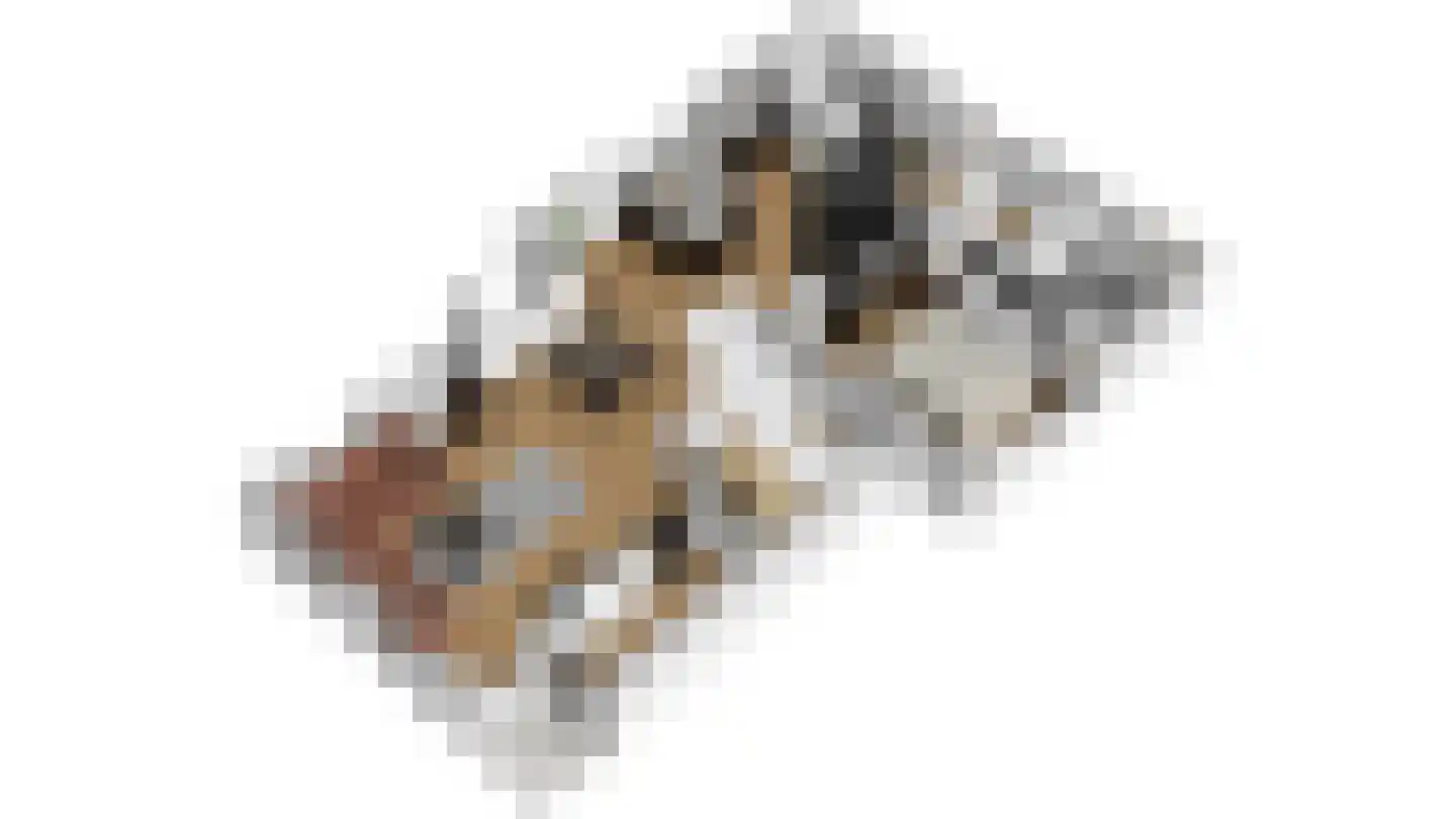 Blauwhuisterweg 36 Surhuisterveen thumbnail 12