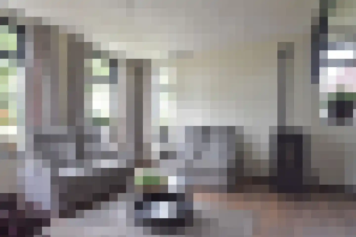Blauwhuisterweg 36 Surhuisterveen thumbnail 15