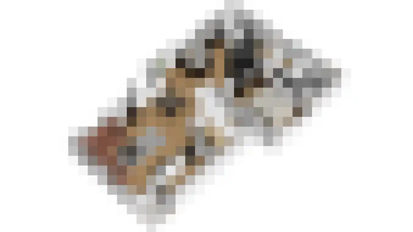 Blauwhuisterweg 36 Surhuisterveen thumbnail 30