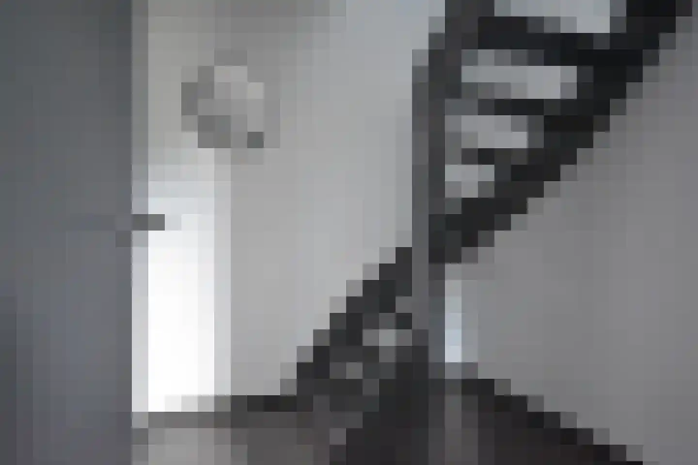 Blauwhuisterweg 36 Surhuisterveen thumbnail 31