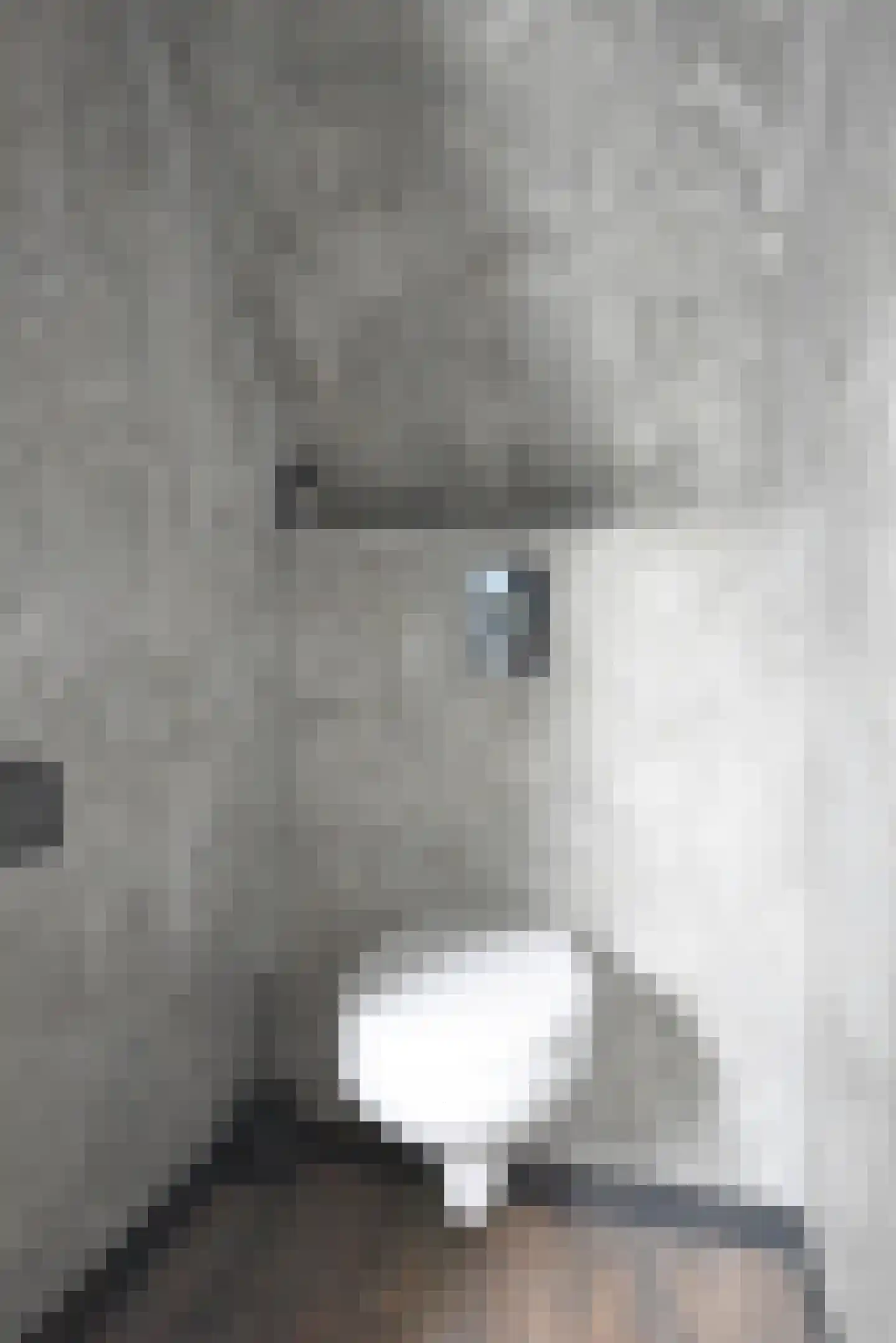 Blauwhuisterweg 36 Surhuisterveen thumbnail 34