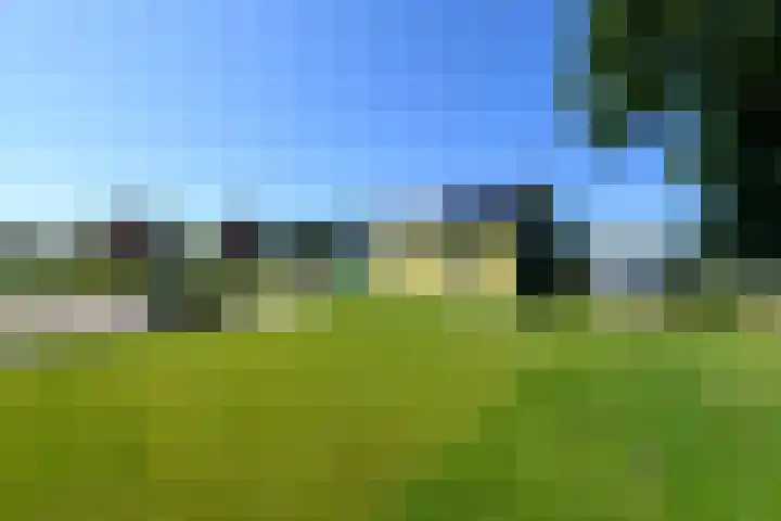Blauwhuisterweg 52 Surhuisterveen thumbnail 44