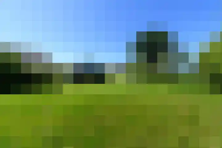 Blauwhuisterweg 52 Surhuisterveen thumbnail 5