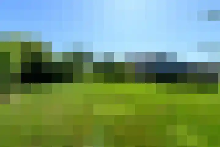 Blauwhuisterweg 52 Surhuisterveen thumbnail 56