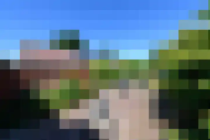 Blauwhuisterweg 52 Surhuisterveen thumbnail 61