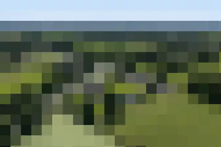 Blauwhuisterweg 52 Surhuisterveen thumbnail 62