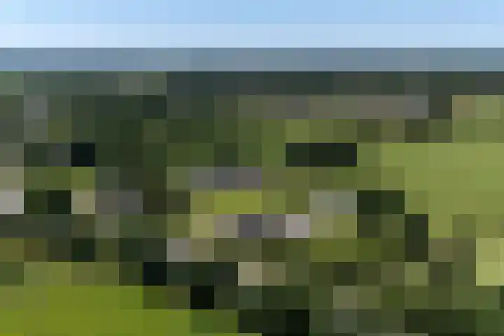 Blauwhuisterweg 52 Surhuisterveen thumbnail 66