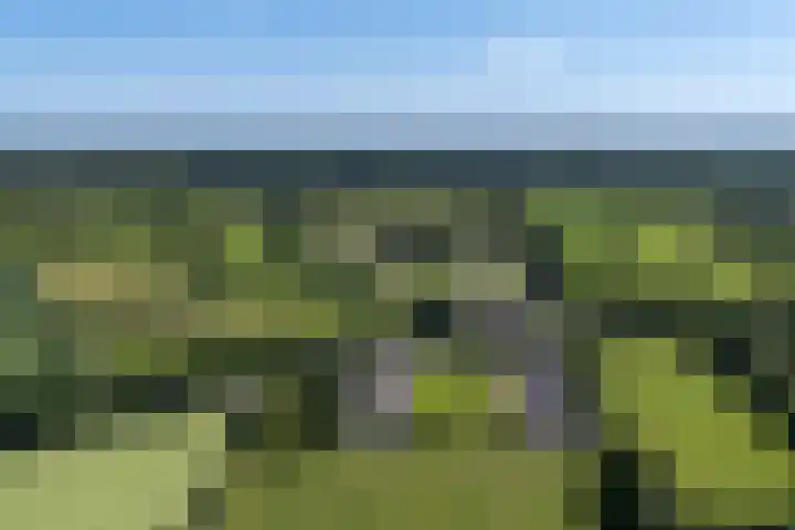 Blauwhuisterweg 52 Surhuisterveen thumbnail 67