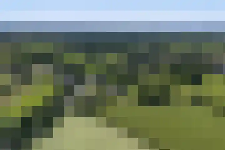 Blauwhuisterweg 52 Surhuisterveen thumbnail 68
