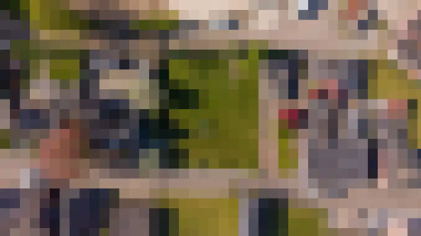 Blauwhuisweg 15 Almelo thumbnail 12