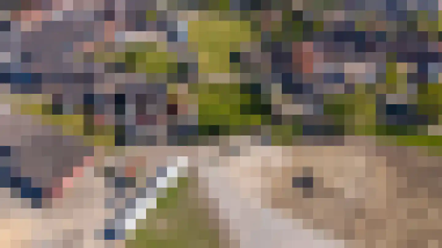 Blauwhuisweg 15 Almelo thumbnail 14