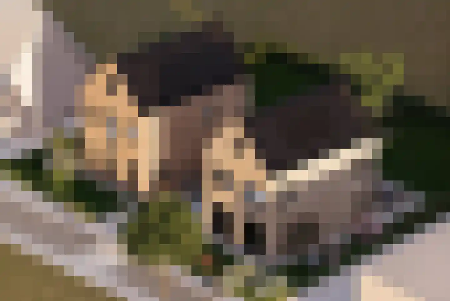 Blauwhuisweg 15 Almelo thumbnail 5