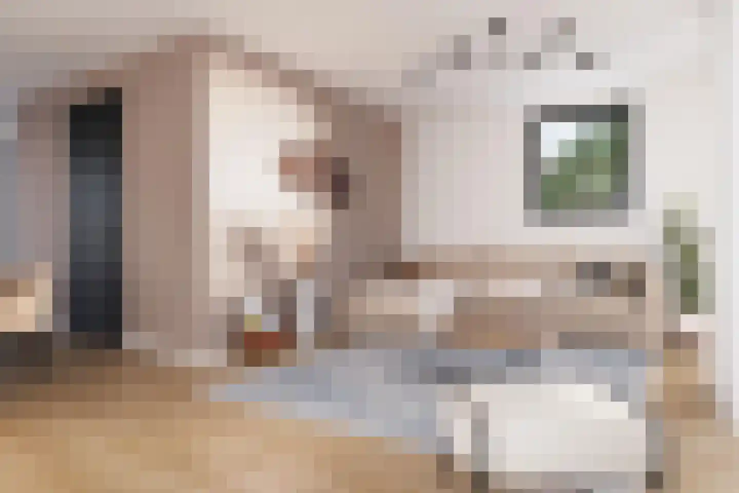 Blauwhuisweg 15 Almelo thumbnail 9