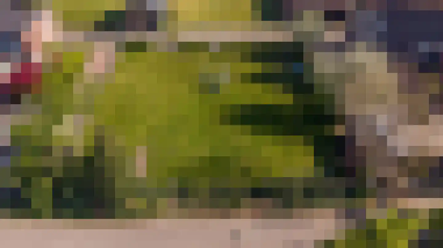 Blauwhuisweg 17 Almelo thumbnail 15