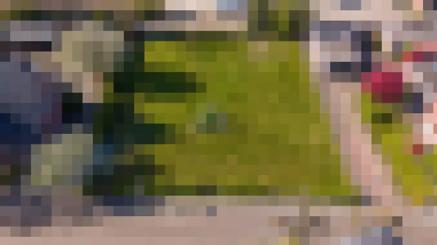 Blauwhuisweg 17 Almelo thumbnail 16