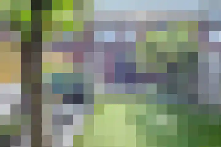 Blauwkapel 4 Gorinchem thumbnail 22