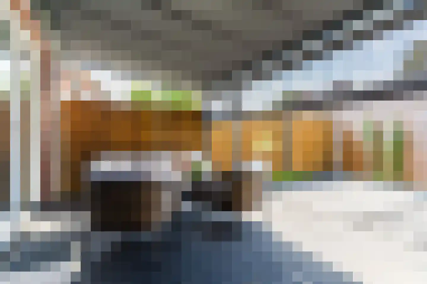Blauwkapel 53 Gorinchem thumbnail 43