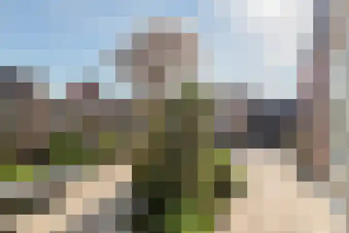 Blauwkapel 56 Gorinchem thumbnail 19
