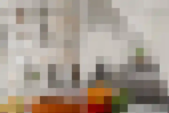 Blauwkapelseweg 117 Utrecht thumbnail 15