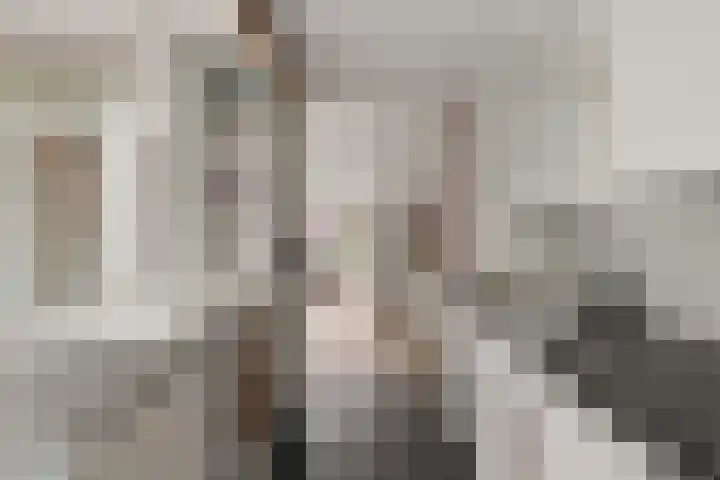 Blauwkapelseweg 117 Utrecht thumbnail 17