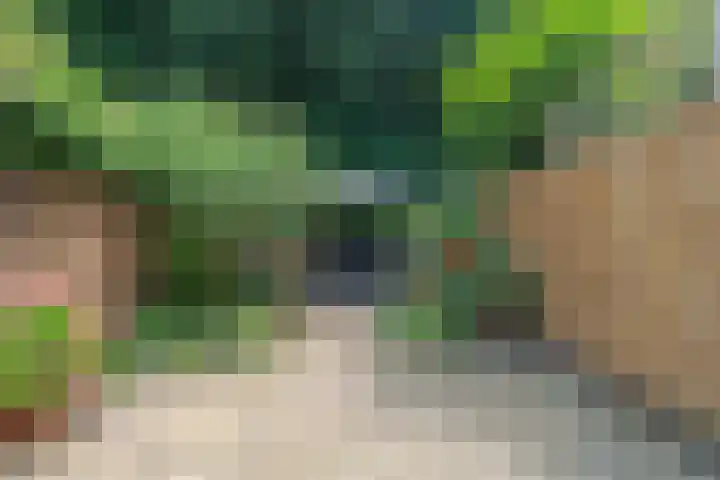 Blauwkapelseweg 117 Utrecht thumbnail 19