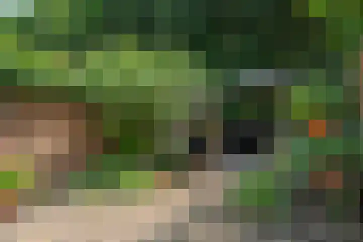 Blauwkapelseweg 117 Utrecht thumbnail 20