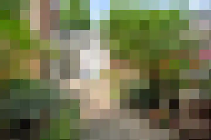 Blauwkapelseweg 117 Utrecht thumbnail 22