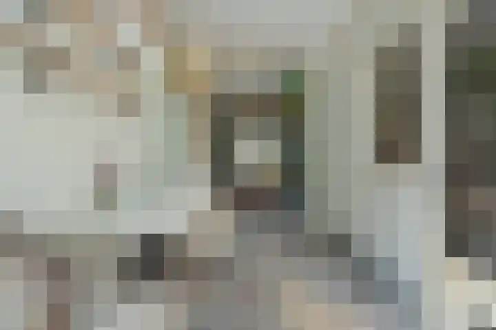 Blauwkapelseweg 117 Utrecht thumbnail 23