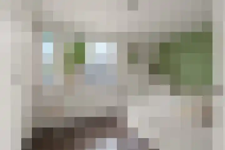 Blauwkapelseweg 117 Utrecht thumbnail 24