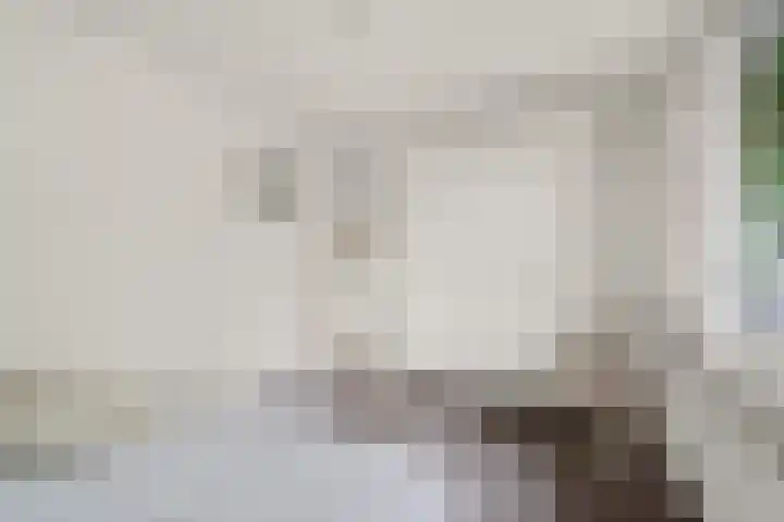 Blauwkapelseweg 117 Utrecht thumbnail 26