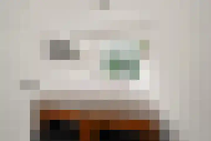 Blauwkapelseweg 117 Utrecht thumbnail 27