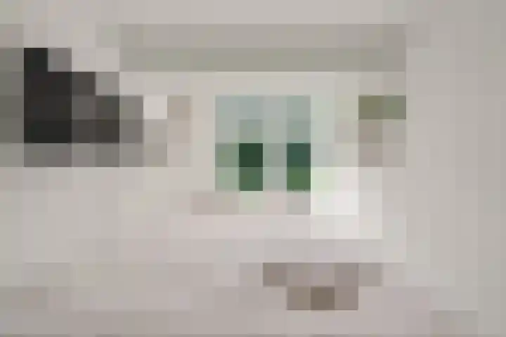 Blauwkapelseweg 117 Utrecht thumbnail 28
