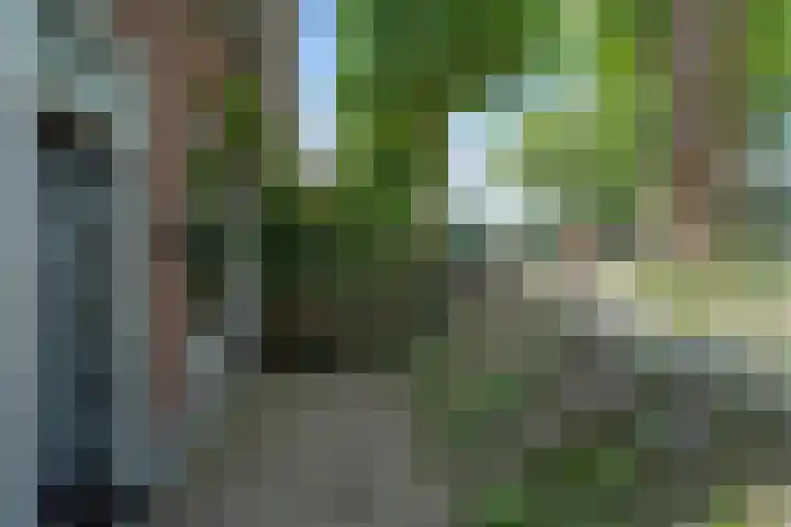 Blauwkapelseweg 117 Utrecht thumbnail 33