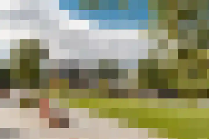 Blauwkapelseweg 117 Utrecht thumbnail 34