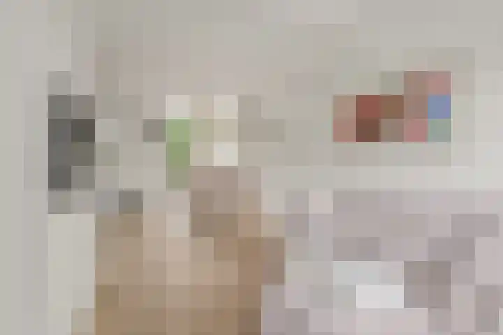 Blauwkapelseweg 117 Utrecht thumbnail 4