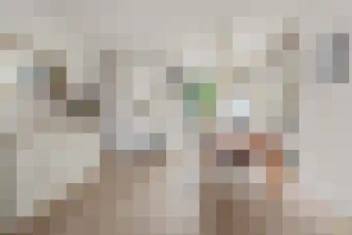 Blauwkapelseweg 117 Utrecht thumbnail 6